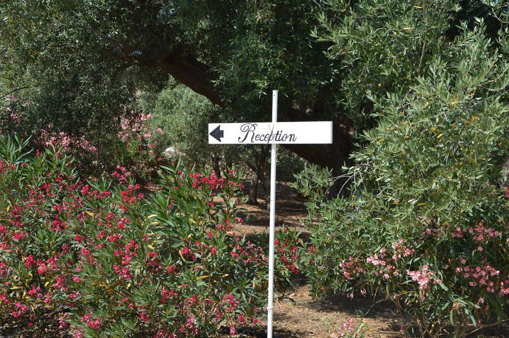 Agriturismo Masseria San Leonardo Savelletri Екстер'єр фото
