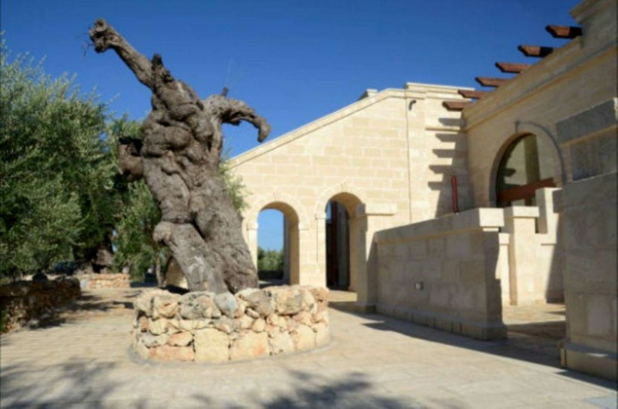 Agriturismo Masseria San Leonardo Savelletri Екстер'єр фото