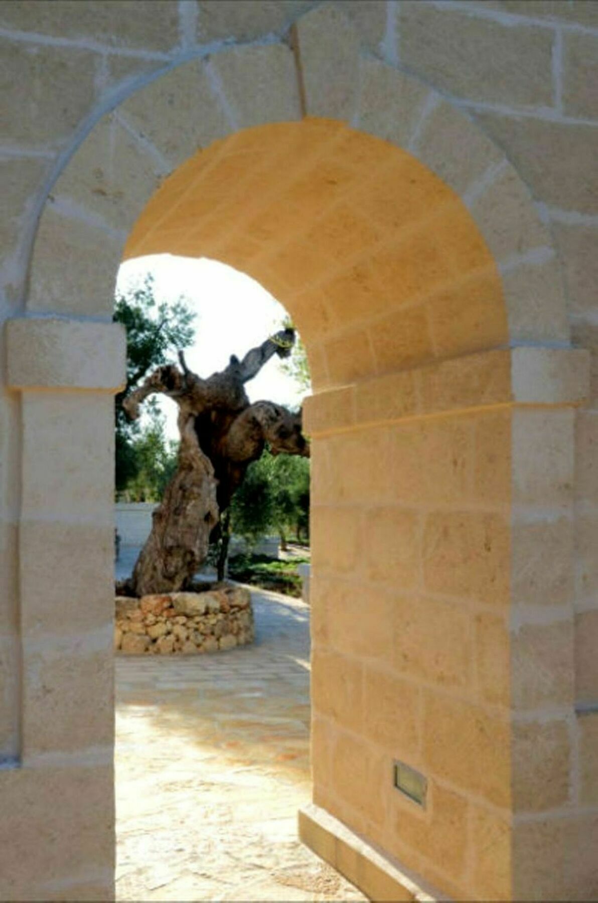 Agriturismo Masseria San Leonardo Savelletri Екстер'єр фото