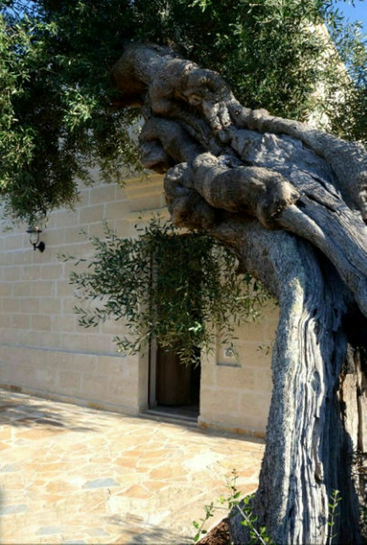 Agriturismo Masseria San Leonardo Savelletri Екстер'єр фото